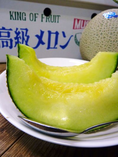 チンゲン菜 無農薬・無加温チンゲン菜 定植後の様子と販売スタート時期のご案内_a0254656_18563398.jpg