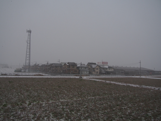 b0194267_1872384.jpg