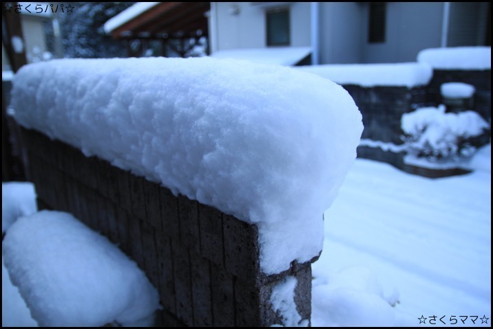 爆弾低気圧がやってきた・・・_e0271867_09494686.jpg