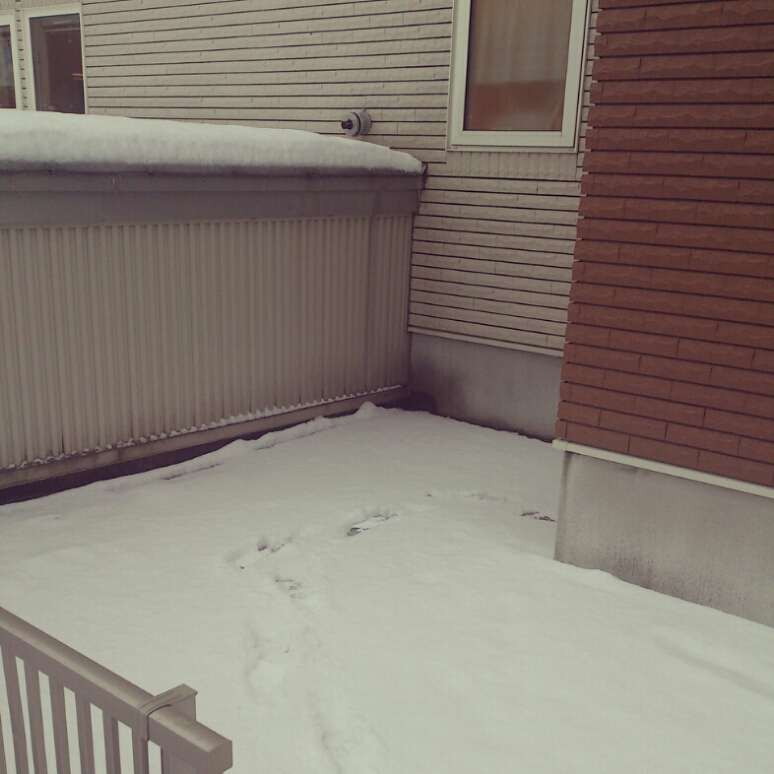 c0311170_9282454.jpg