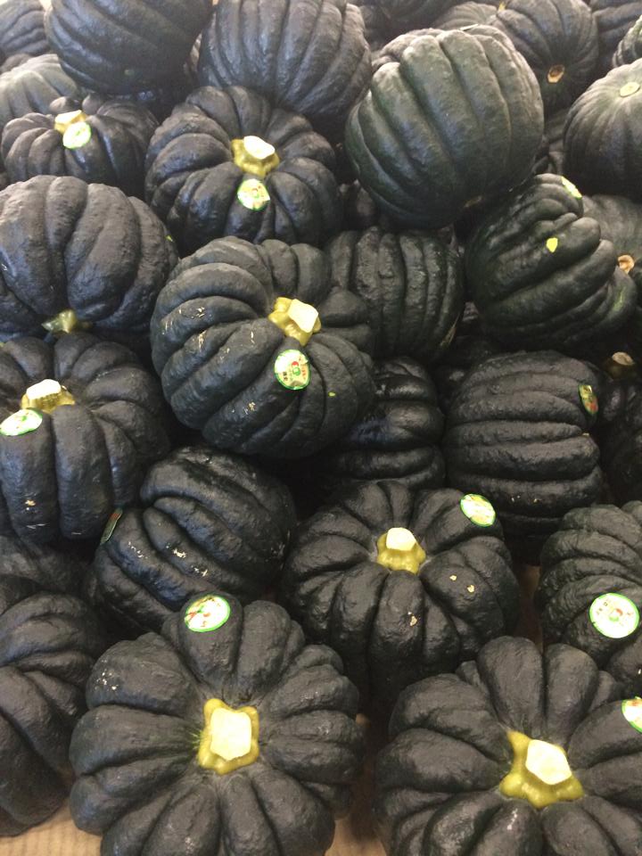 みやざき 黒皮かぼちゃ 元気のための野菜果物学