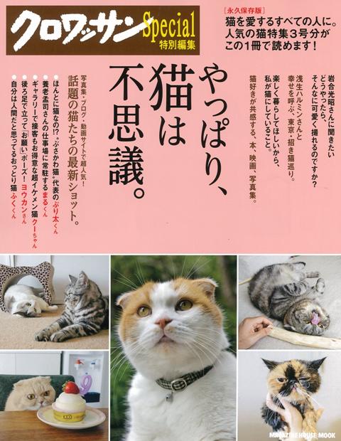 クロワッサン特別編集「やっぱり猫は不思議」に愛猫ディアモン登場♪_a0138976_1303188.jpg