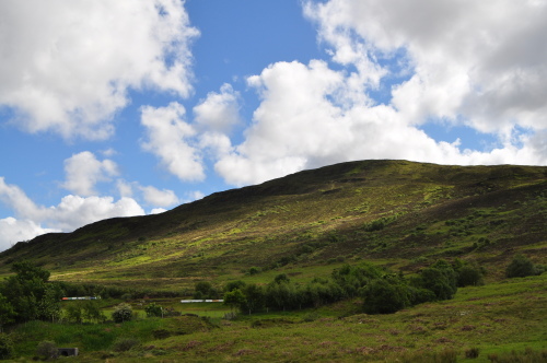 b0346378_13511212.jpg