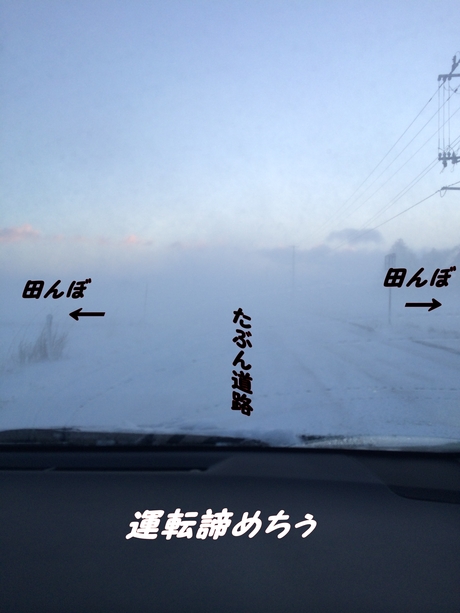 c0283778_11482146.jpg