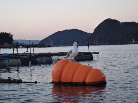 b0343681_21493335.jpg