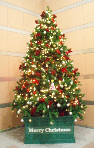 e0149996_11492072.jpg