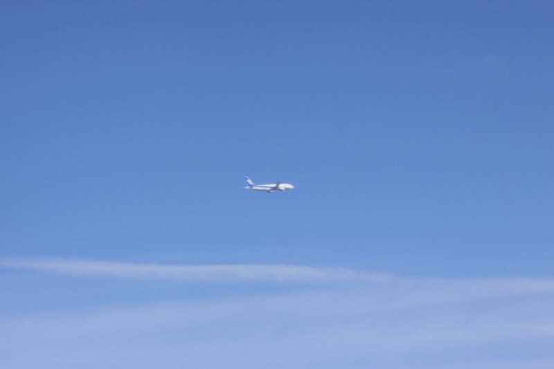 b0138798_11144230.jpg