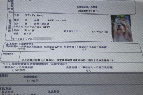ワンコ保険に入ったよ。_c0090198_17134361.jpg