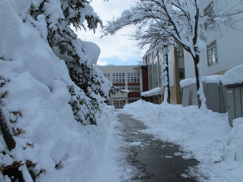 キャンパスの雪景色　１２月１９日午前・・・２_c0075701_2113253.jpg