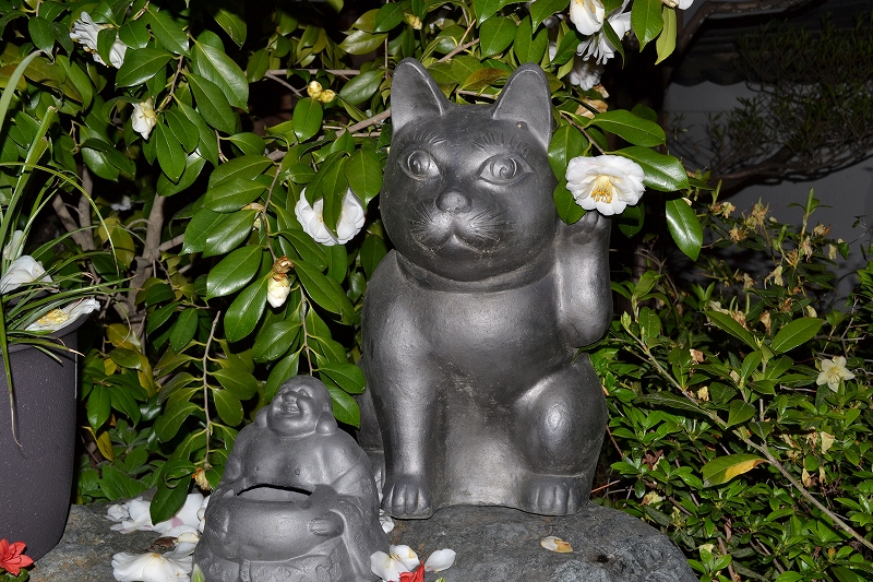 Iさんが見た景色1 -長崎・京都-_d0116009_10201875.jpg