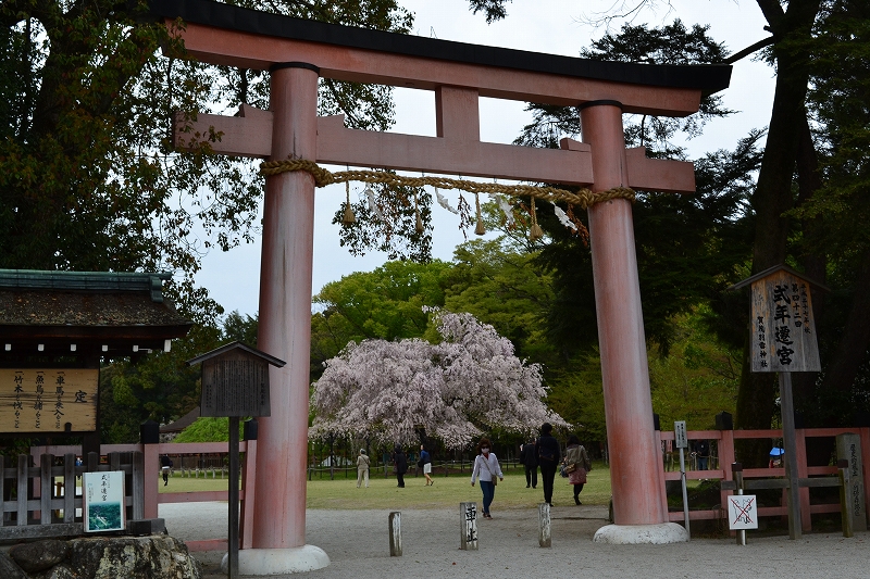 Iさんが見た景色1 -長崎・京都-_d0116009_10213296.jpg