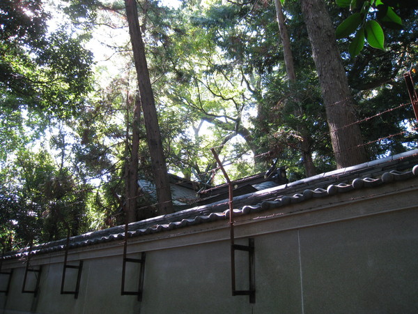 d0287413_9384144.jpg