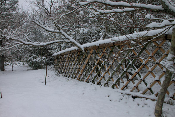 雪の光悦寺_e0048413_17261456.jpg