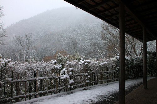 雪の光悦寺_e0048413_1727593.jpg
