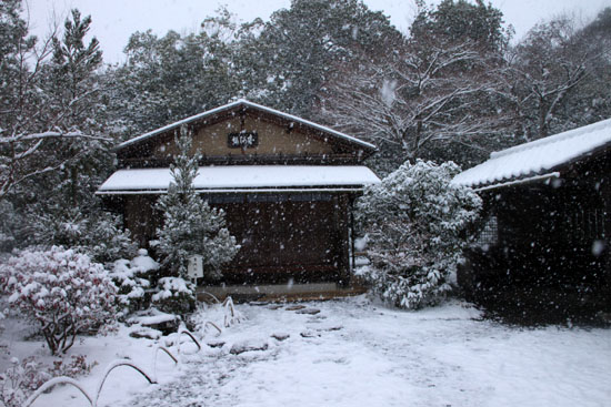雪の光悦寺_e0048413_1727740.jpg