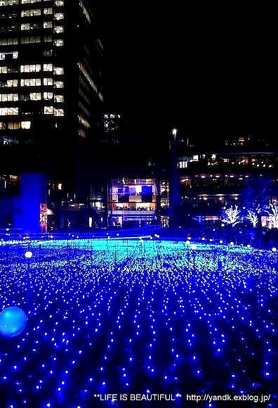 Christmas Illumination☆2014_d0083623_0102662.jpg