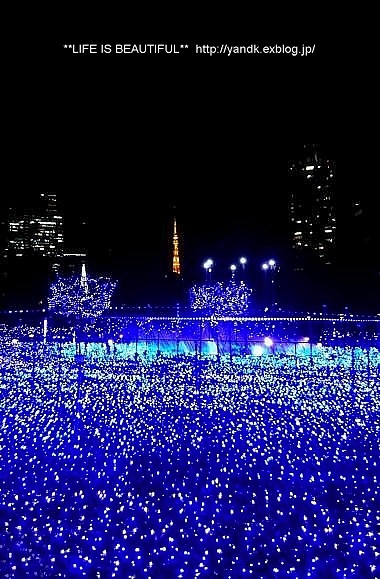 Christmas Illumination☆2014_d0083623_010479.jpg
