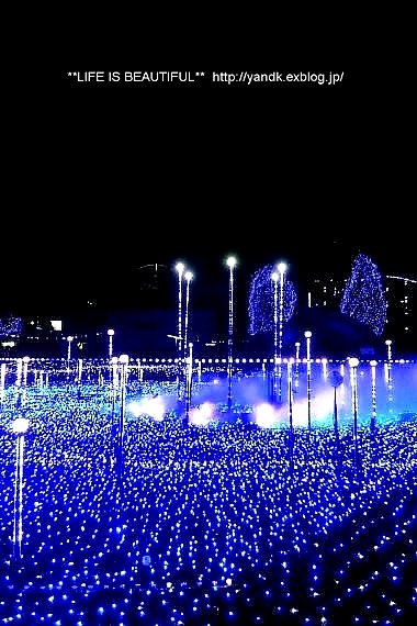 Christmas Illumination☆2014_d0083623_0123589.jpg