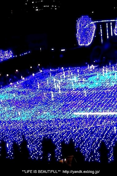 Christmas Illumination☆2014_d0083623_0132939.jpg