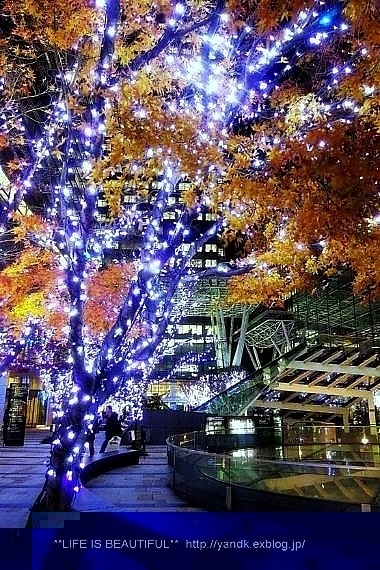 Christmas Illumination☆2014_d0083623_033619.jpg