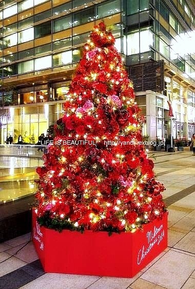 Christmas Illumination☆2014_d0083623_052582.jpg