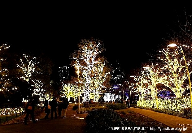 Christmas Illumination☆2014_d0083623_054891.jpg