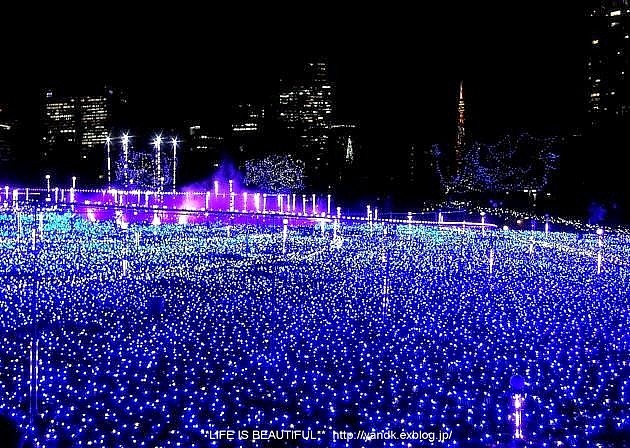 Christmas Illumination☆2014_d0083623_071423.jpg