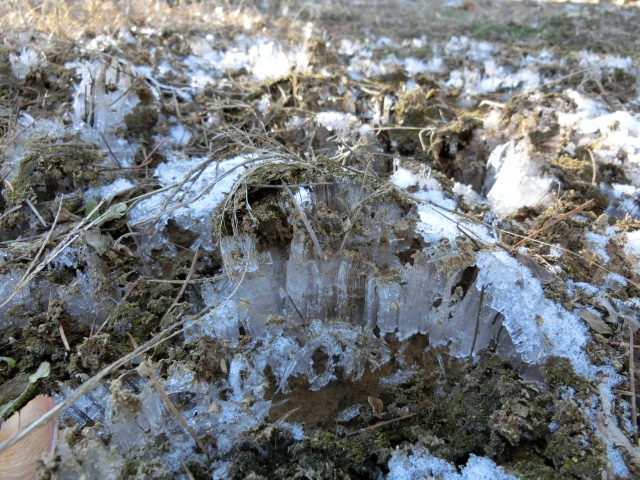 e0234924_93252100.jpg