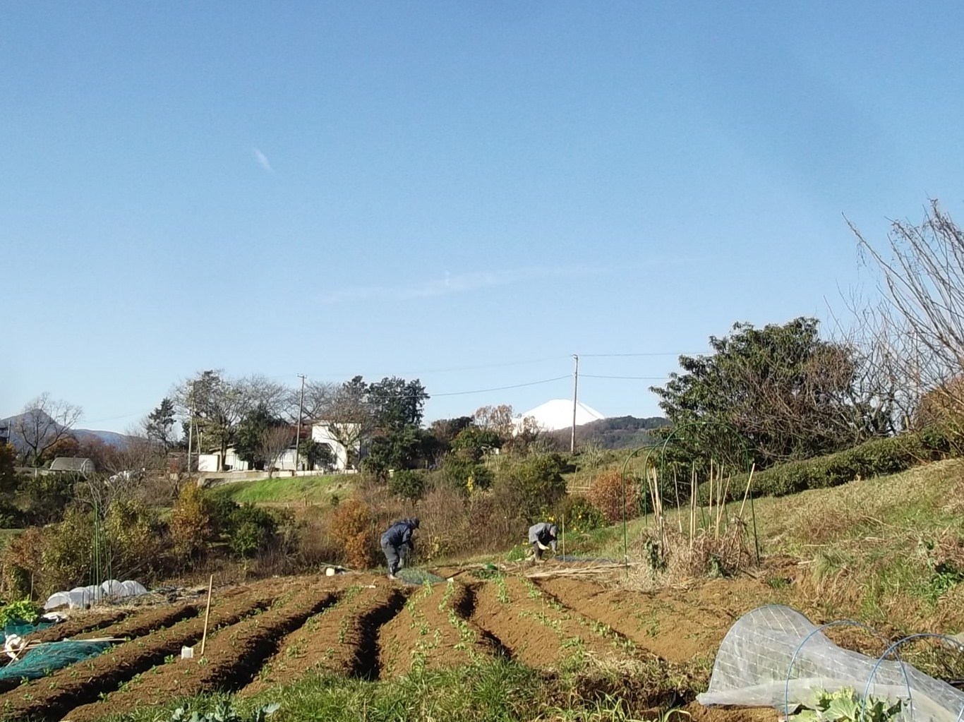 b0137932_18324928.jpg