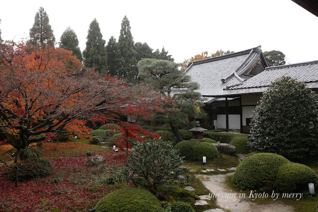 京都庭園の妙技　雲龍院_a0207736_0322622.jpg