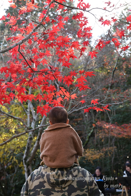 赤い絨毯を踏みしめて　大原野神社_a0207736_0413483.jpg