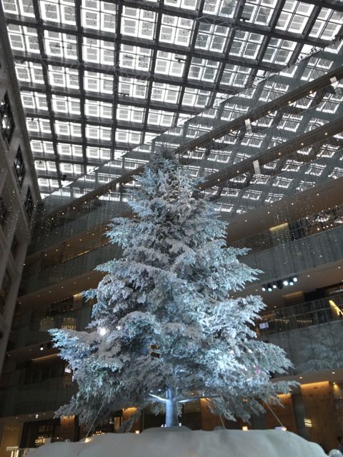 c0220337_11312945.jpg