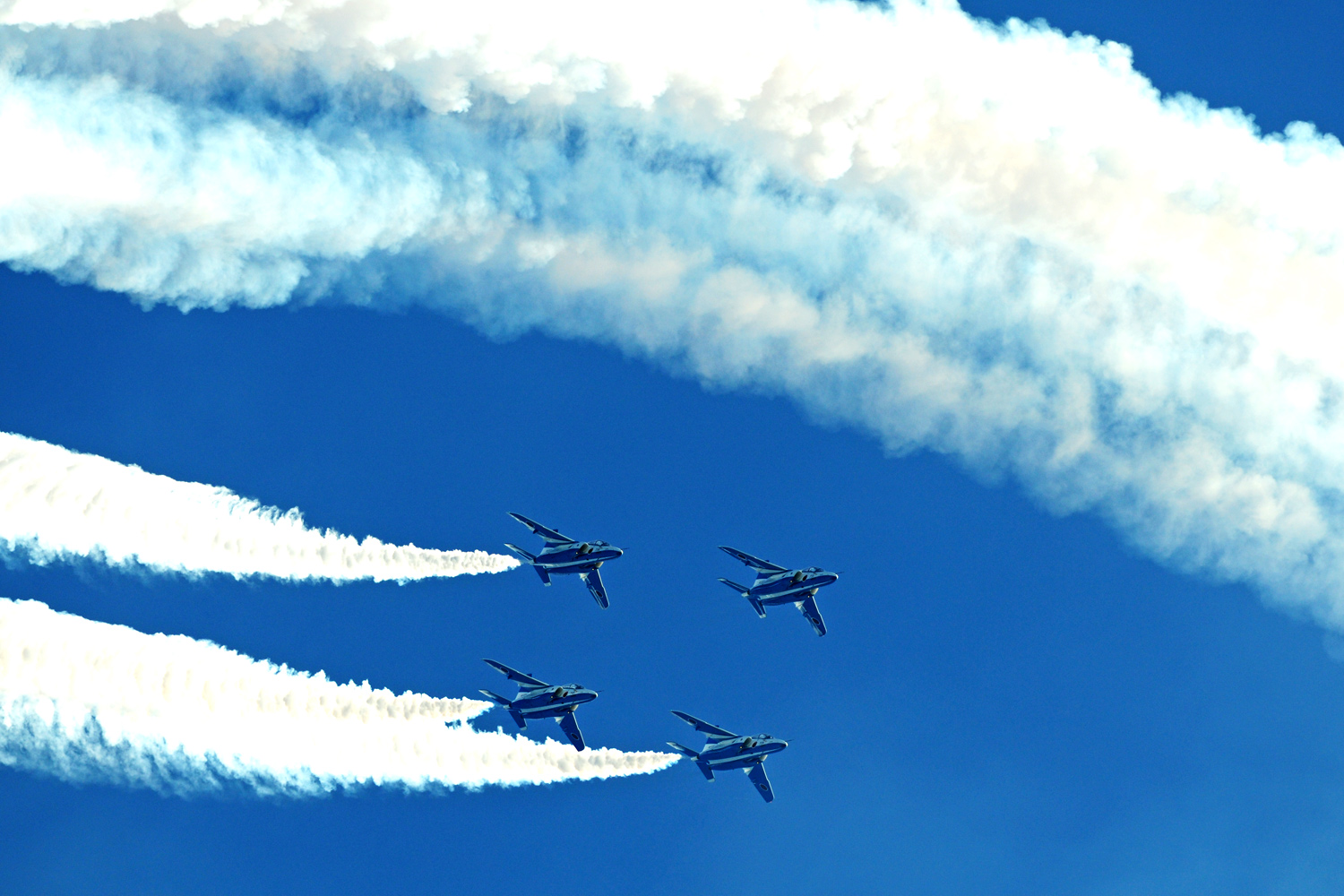 a0136639_0363349.jpg