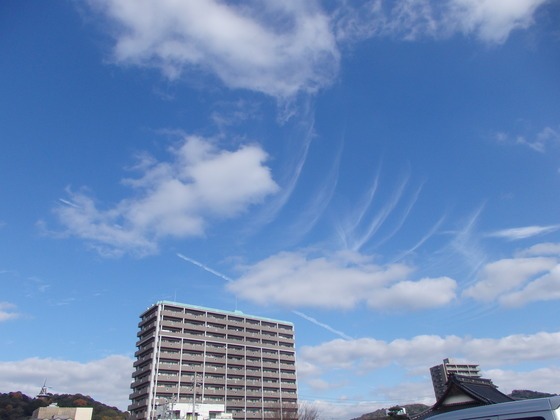 a0054240_22404118.jpg