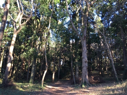 b0330040_11123895.jpg