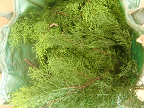 f0329849_22294357.jpg