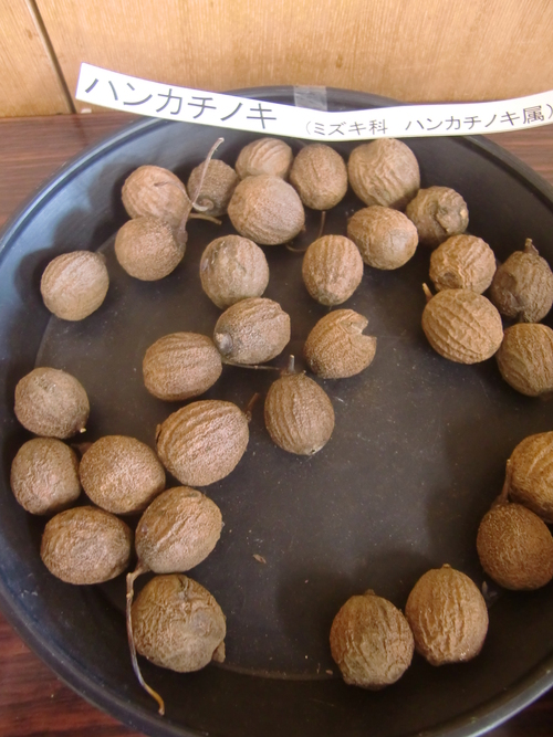 f0329849_22304317.jpg