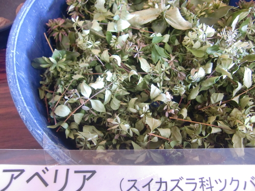 f0329849_22305770.jpg