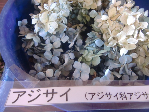 f0329849_22312527.jpg