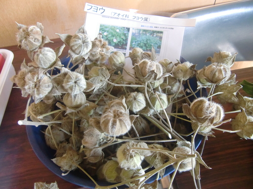 f0329849_2232462.jpg