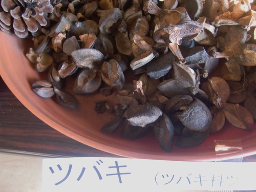 f0329849_22334298.jpg