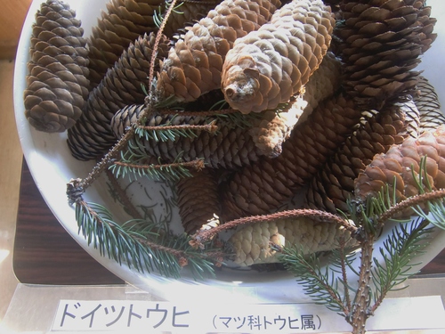 f0329849_22342382.jpg