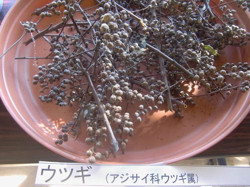 f0329849_2234473.jpg