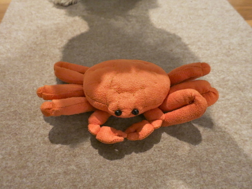 特別の「タラバガニ」_c0260460_11064330.jpg
