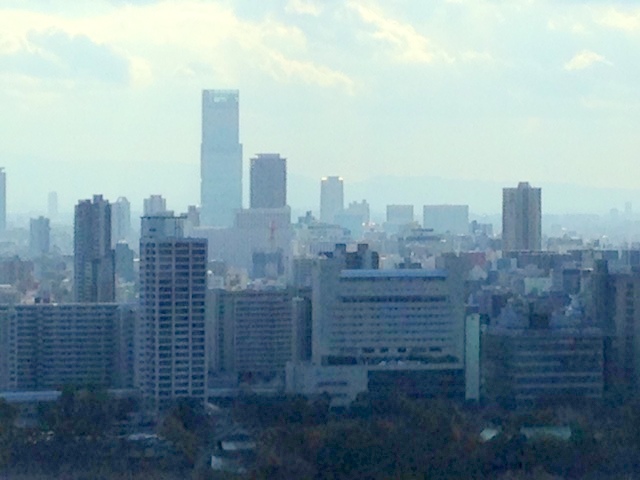 b0044663_16385430.jpg