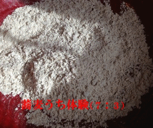 e0145364_1054565.gif