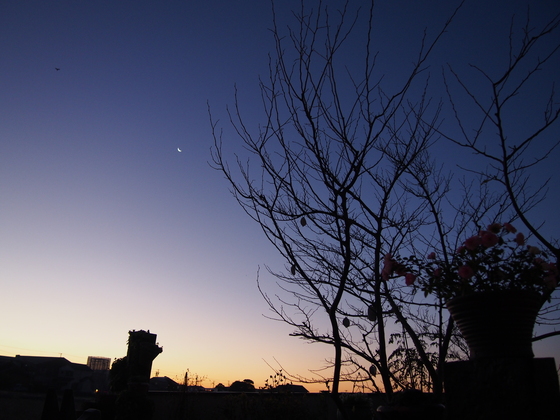 b0194267_17384960.jpg