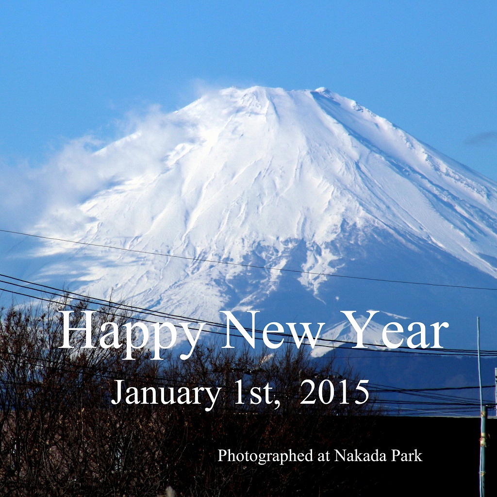 New Year\'s Greeting_d0066469_1932543.jpg