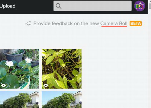Flickr　新機能　＜　Camera Roll_a0002177_1331163.jpg
