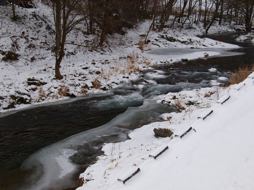 f0236291_61011.jpg